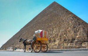 Cairo Hourse Carriage