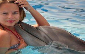 Dolphins Show sharm Egypt