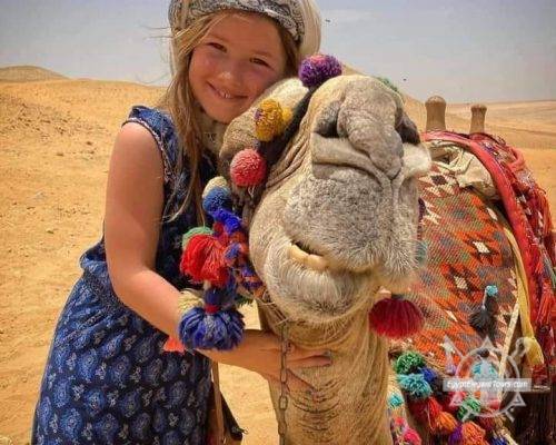 Egyptian-Camel